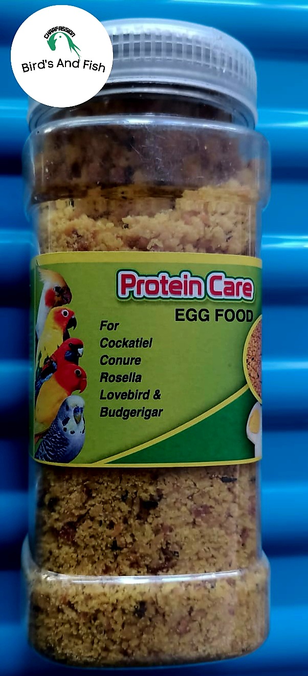 প্রোটিন কেয়ার ঈগ ফুড ১২৫ গ্রাম_img_1