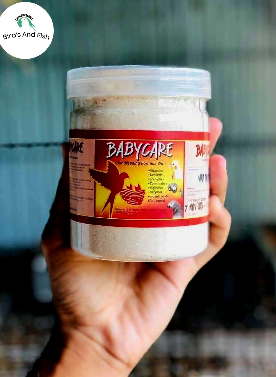 বেবি কেয়ার হ্যান্ডফিড ২৫০ গ্রাম