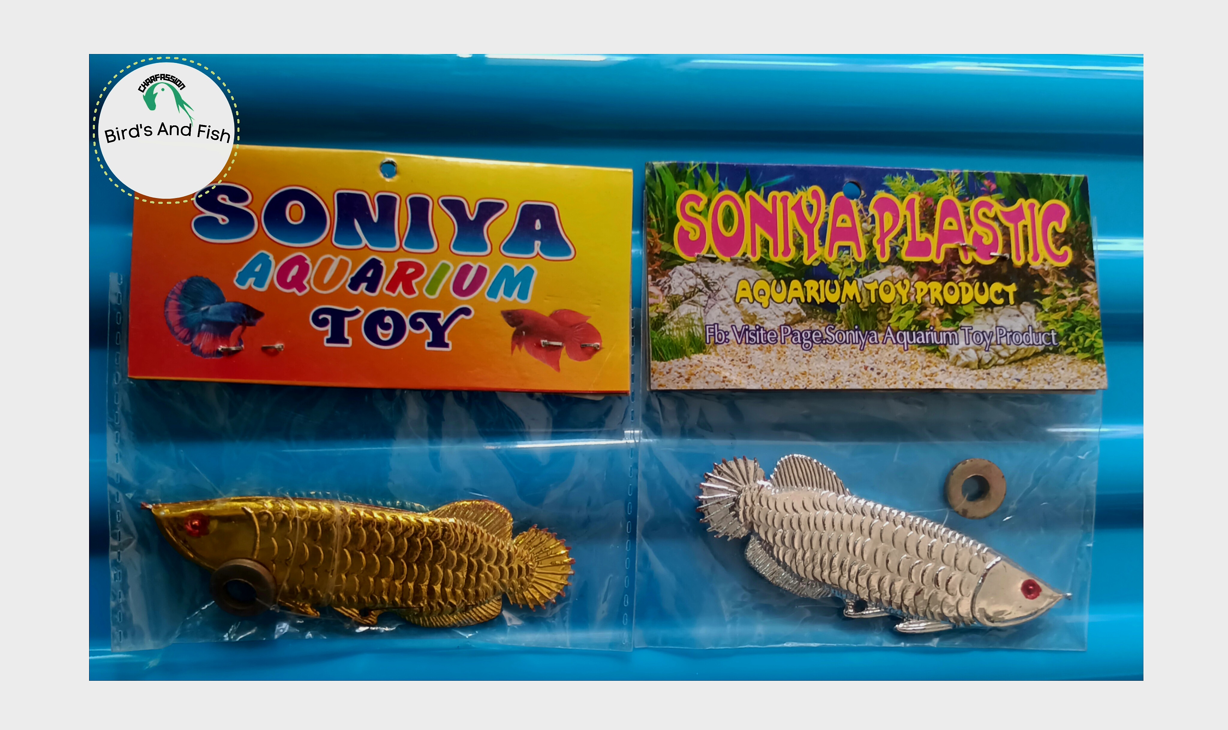 একুরিয়াম ছোট শোপিজ এরোনা ফিশ_img_2