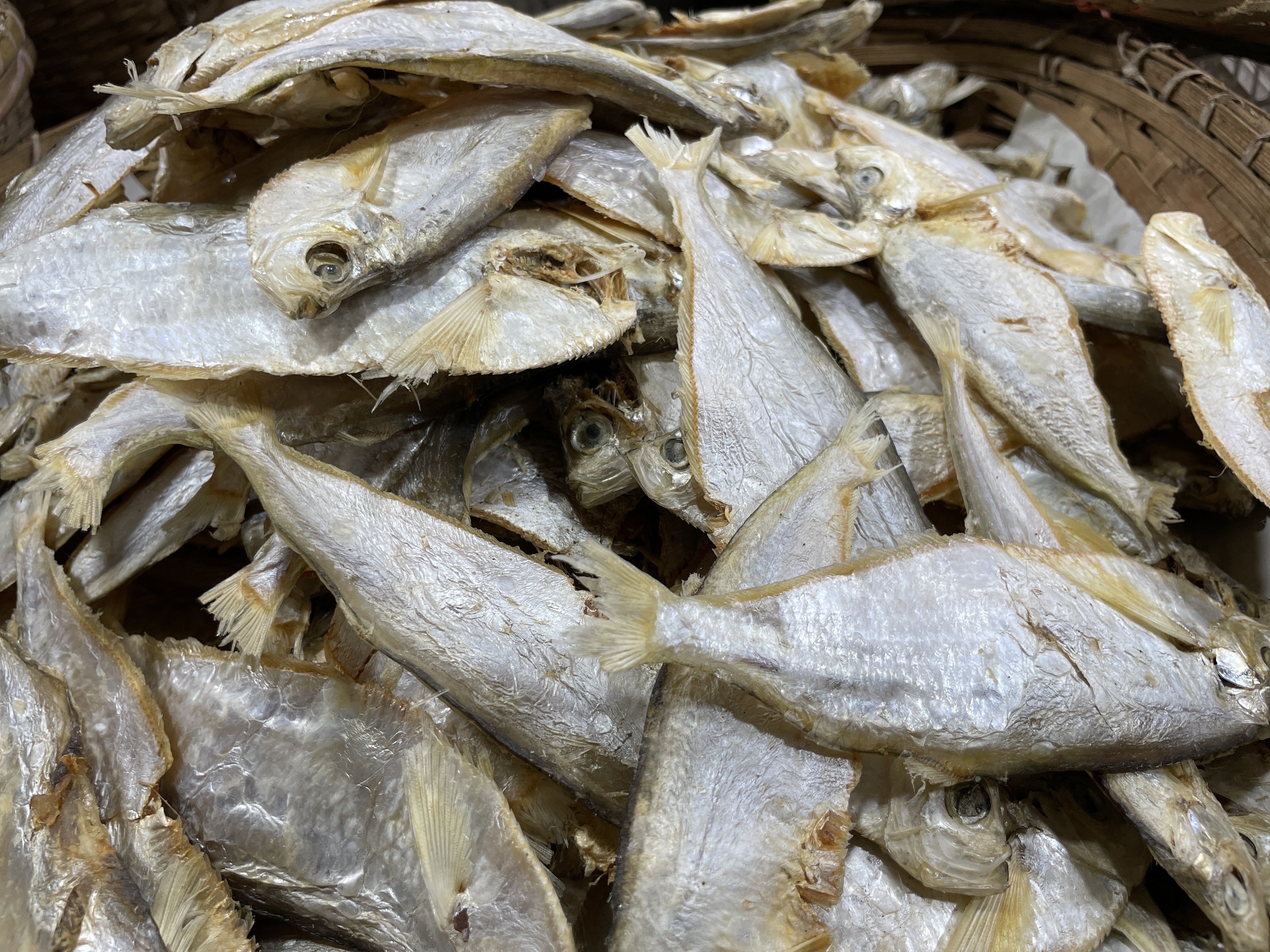 সামুদ্রিক চ্যাপা শুঁটকি শুকনো (Chepa)