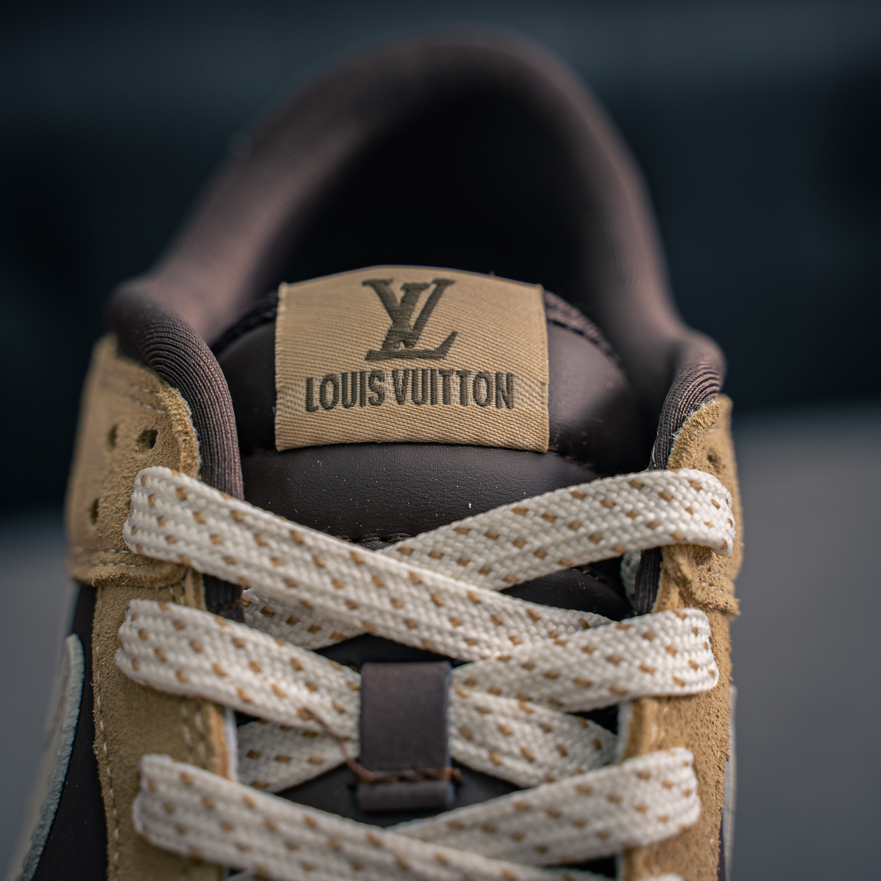 Nike Dunk X Louis Vuitton (1:1)_img_5