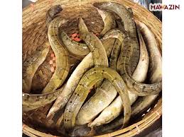 বাইম মাছ  (বড়) / ১ কেজি - Image 1