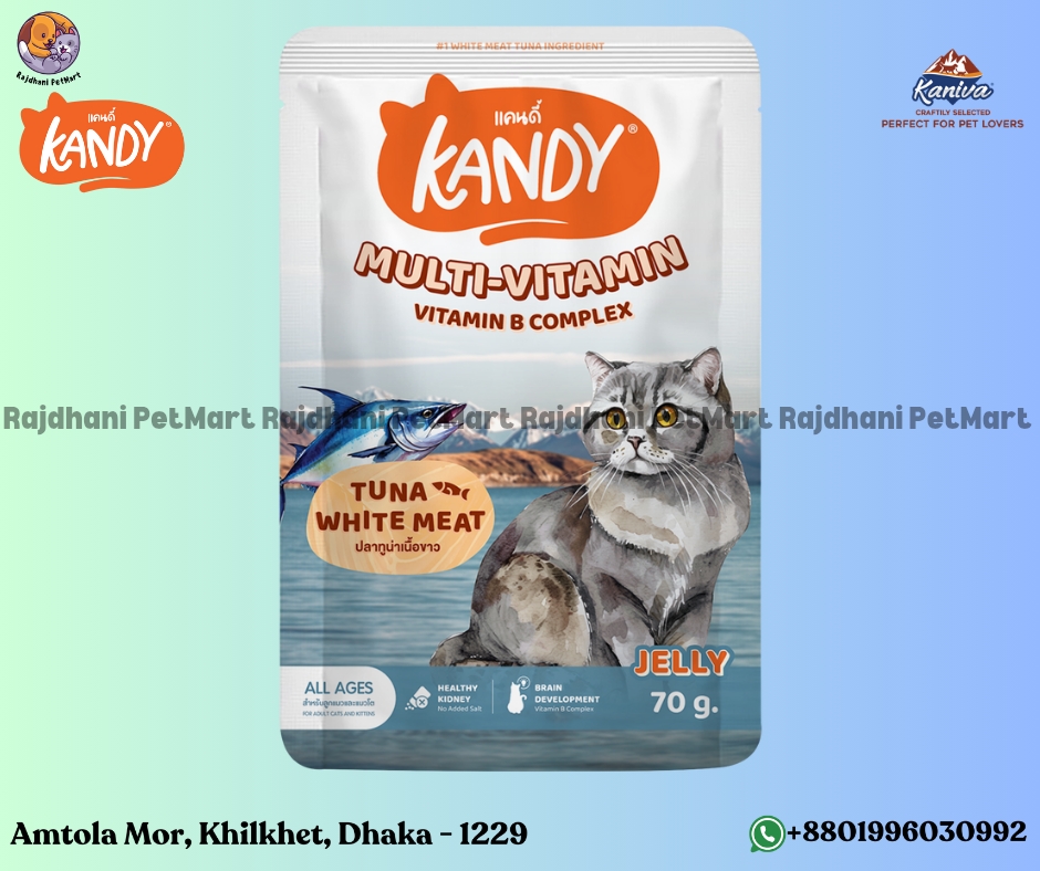 Kandy MULTIVITAMIN Pouch with Vitamin B Complex & Tuna White Meat in Jelly 70g