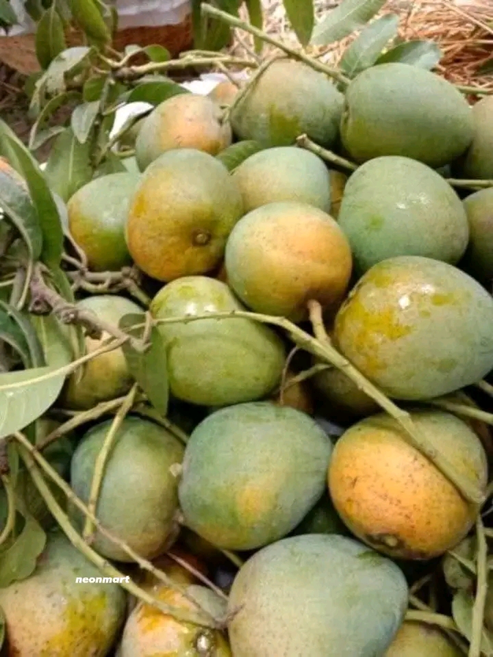 হিমসাগর আম_img_1