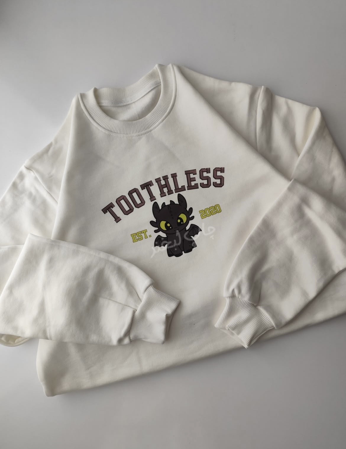 Printed Oversized sweatshirt_img_2