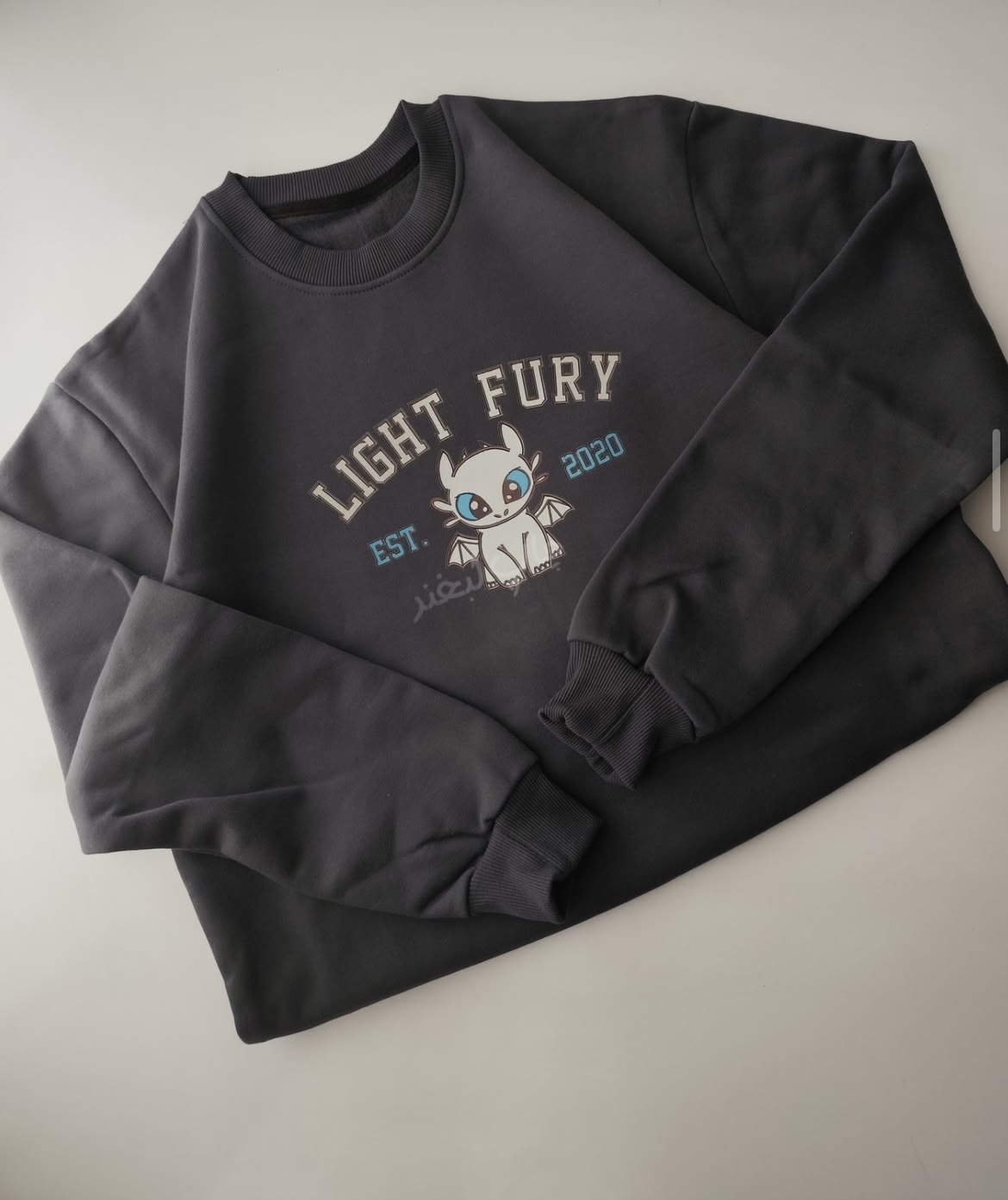 Printed Oversized sweatshirt_img_3