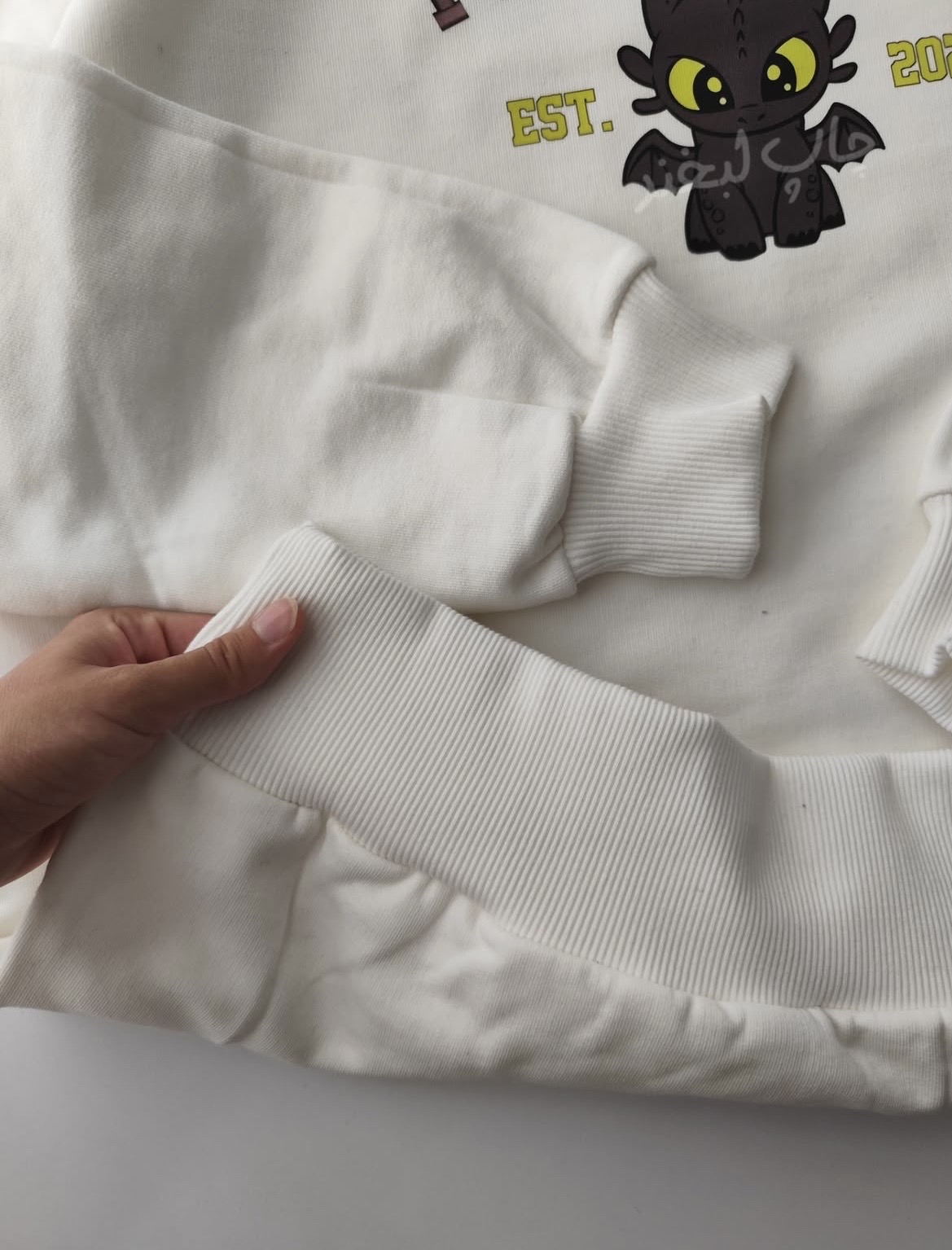 Printed Oversized sweatshirt_img_4