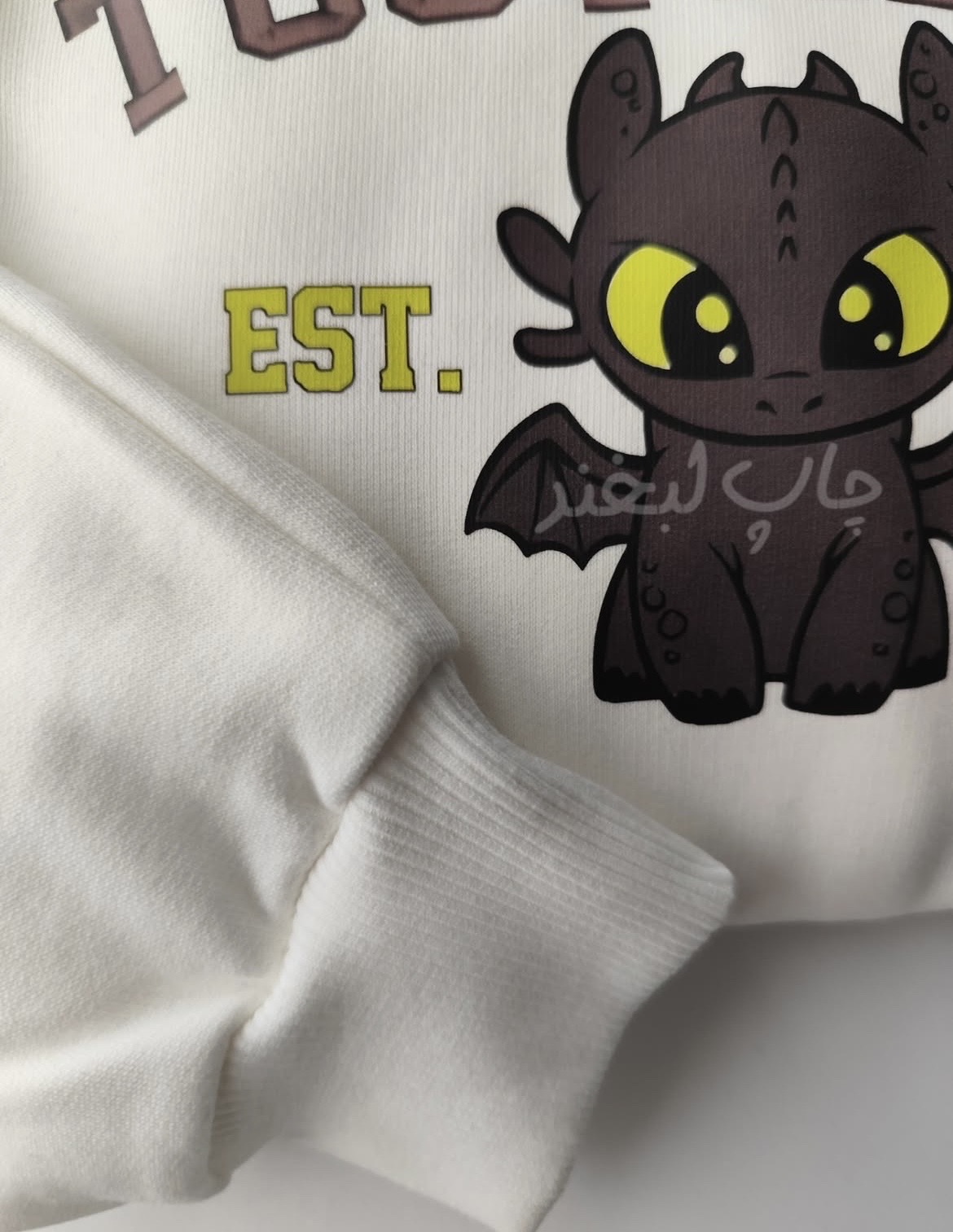 Printed Oversized sweatshirt_img_6