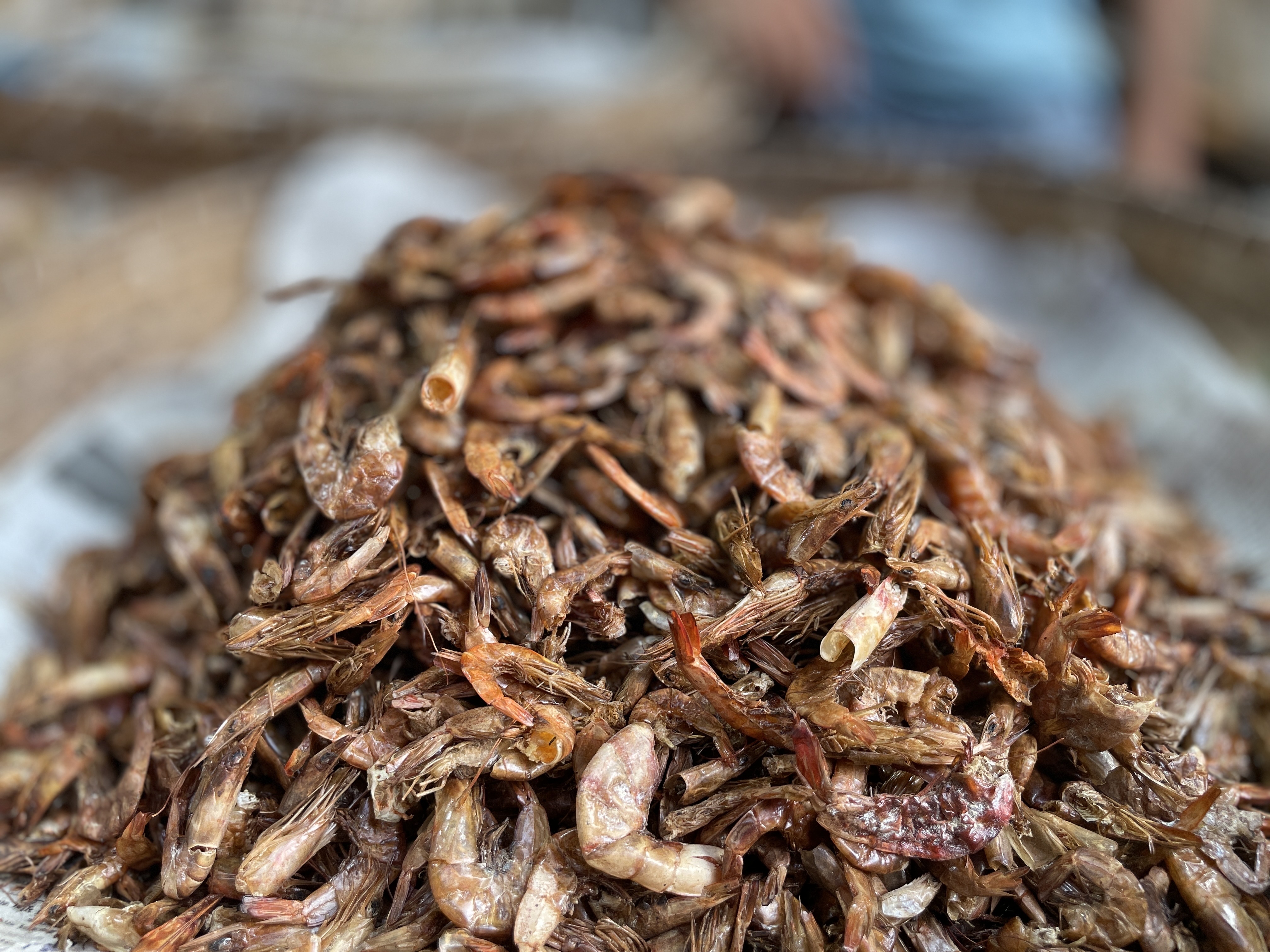 চিংড়ি শুঁটকি মিডিয়াম সাইজ (Chingri Shutki)