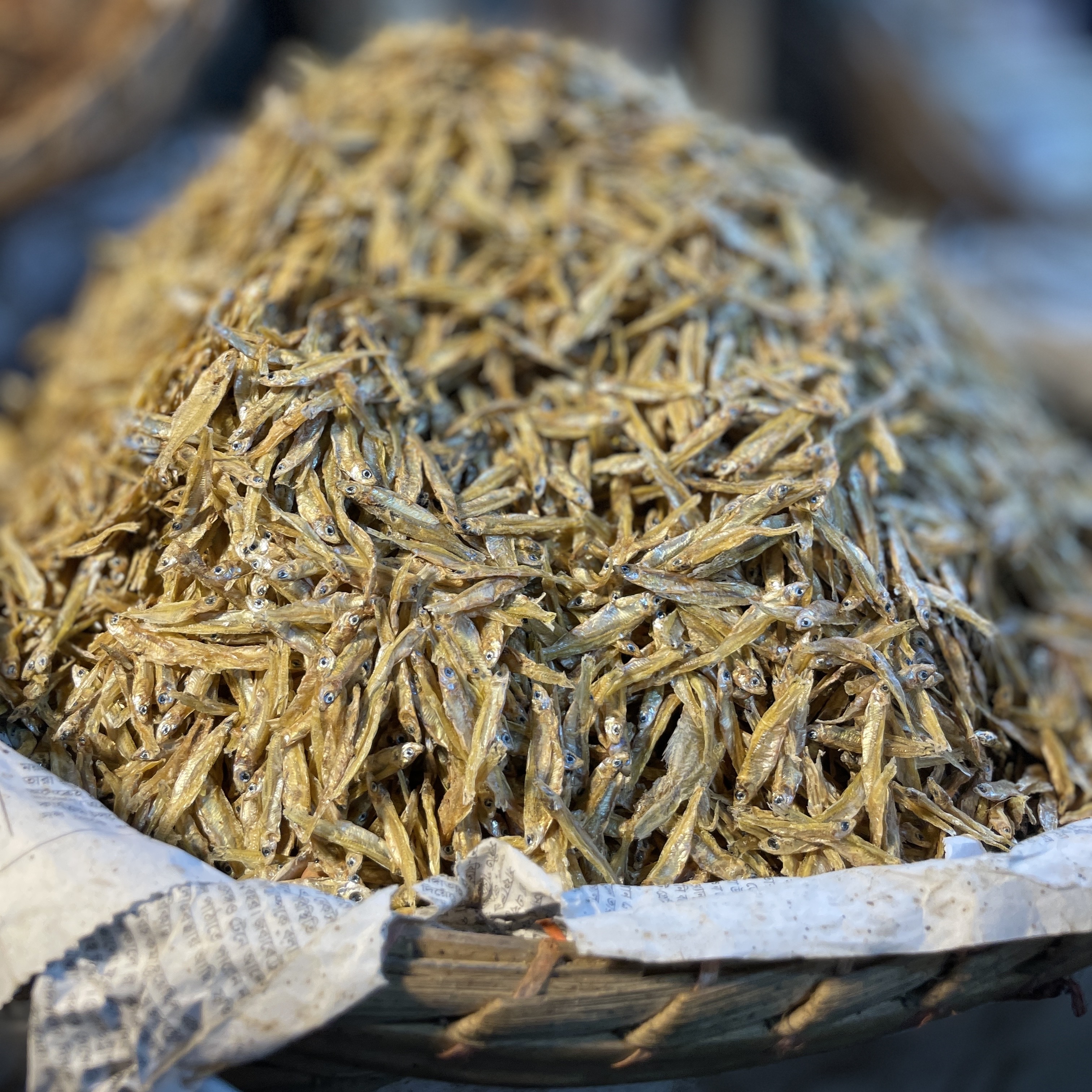 সামুদ্রিক কাঁচকি শুঁটকি (Kachki)