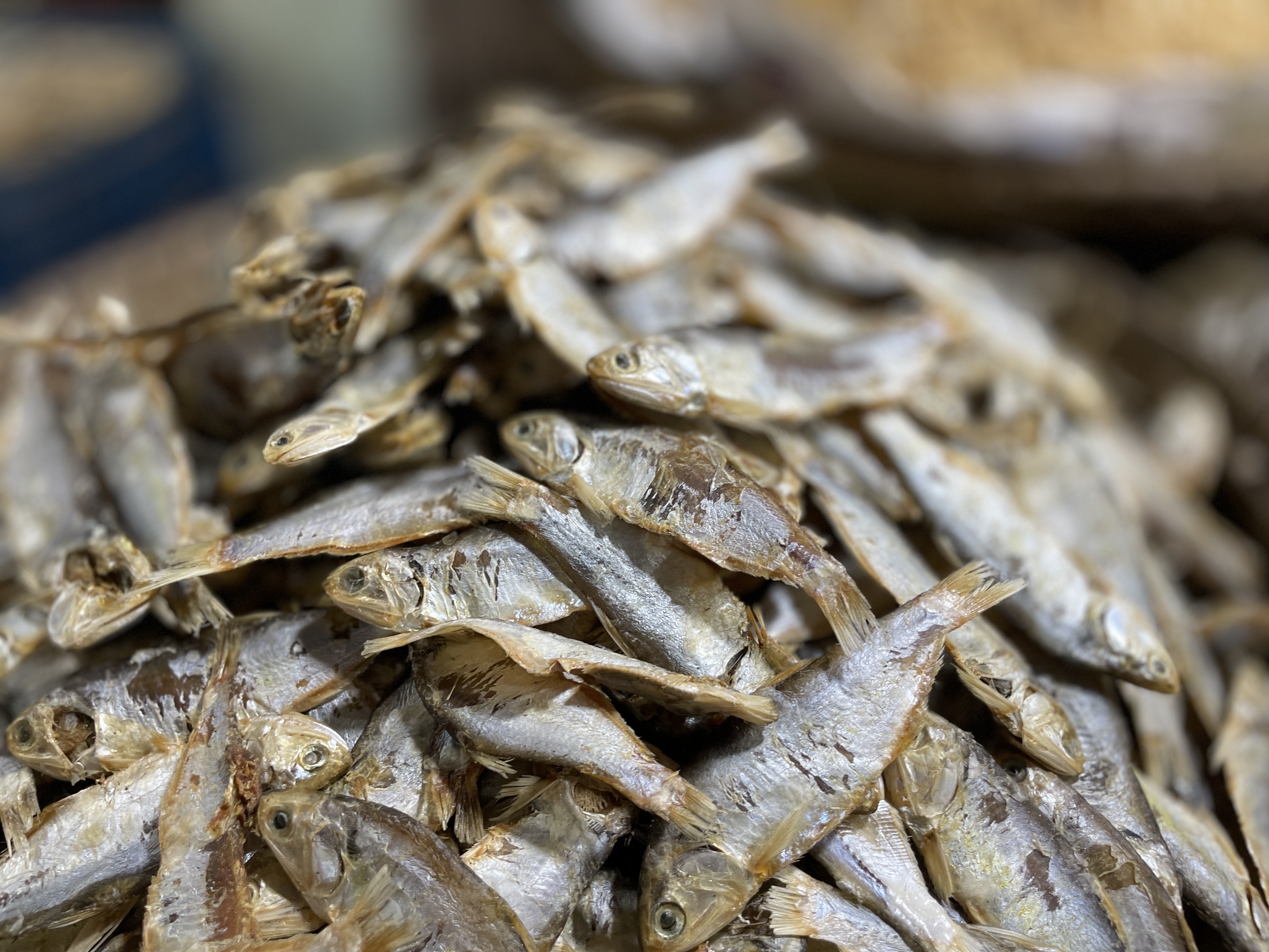 সামুদ্রিক চ্যাপা শুঁটকি ভেজা (Chepa)_img_1