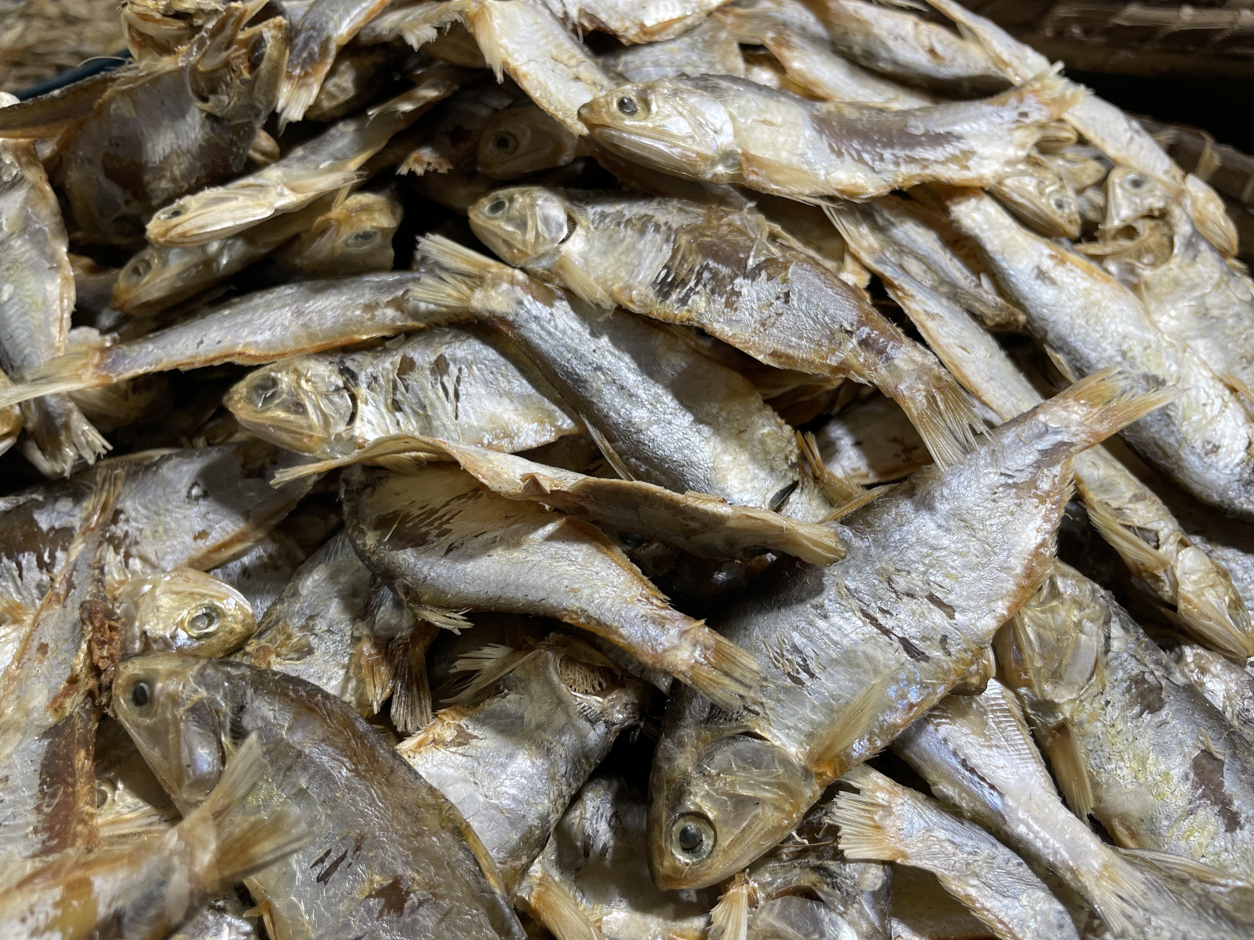 সামুদ্রিক চ্যাপা শুঁটকি ভেজা (Chepa)_img_2