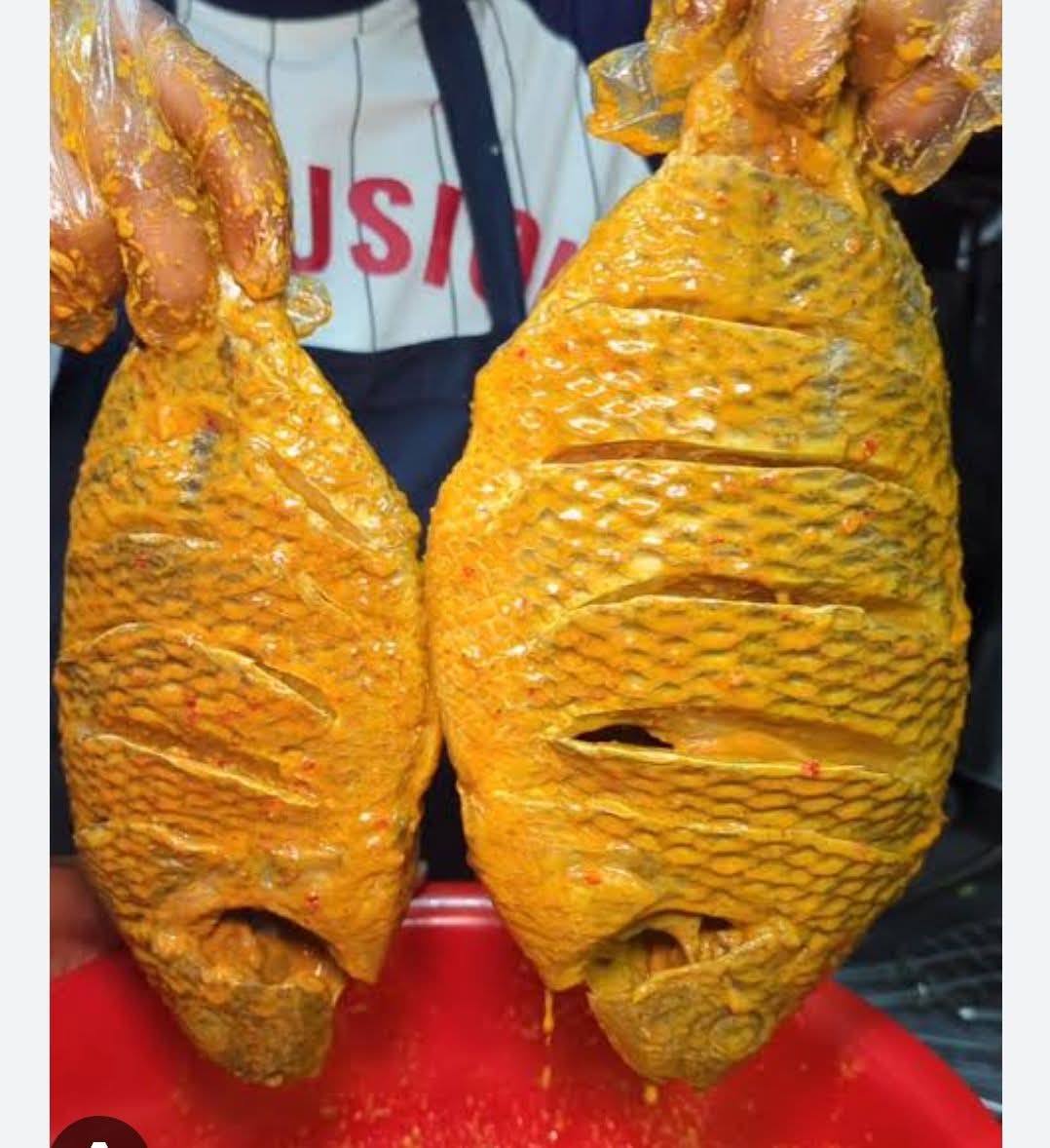 তেলাপিয়া কাটা◆ মসলা মাখানো কত কি◆ রেডিমিক্স বারবিকিউ