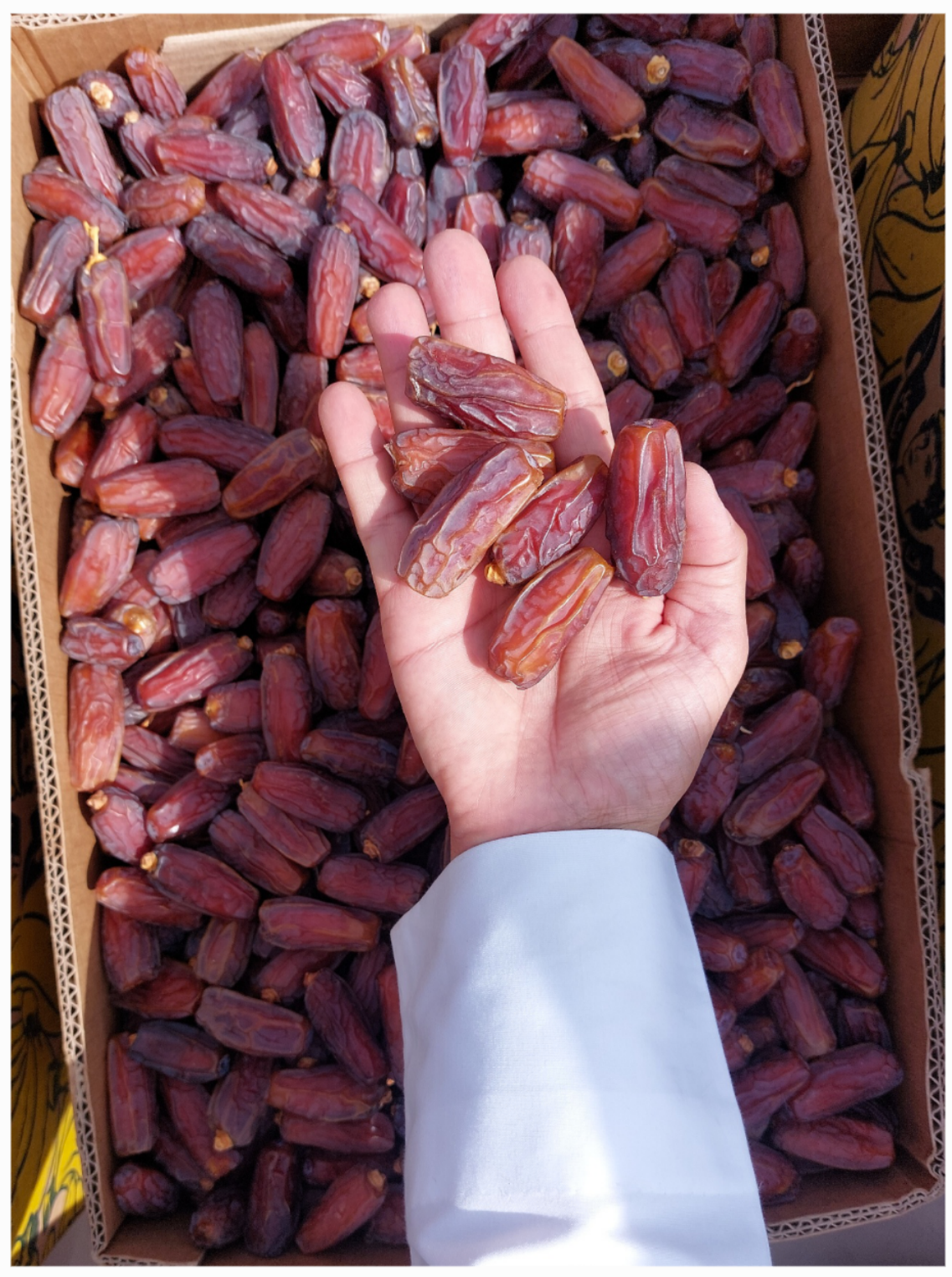 Mabroom Dates (A Grade) Mixed Size 1kg