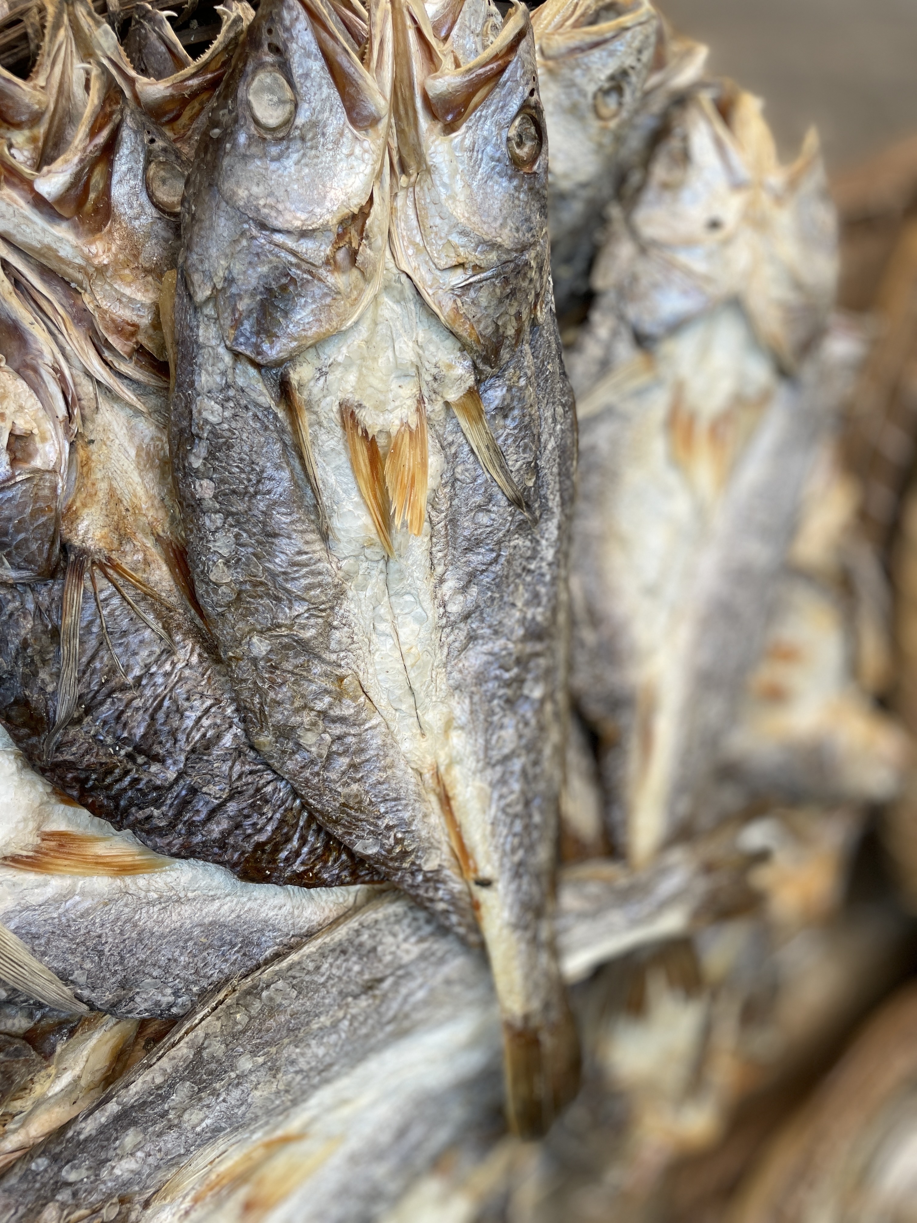 সামুদ্রিক পোয়া শুঁটকি কাট (Poa)_img_1