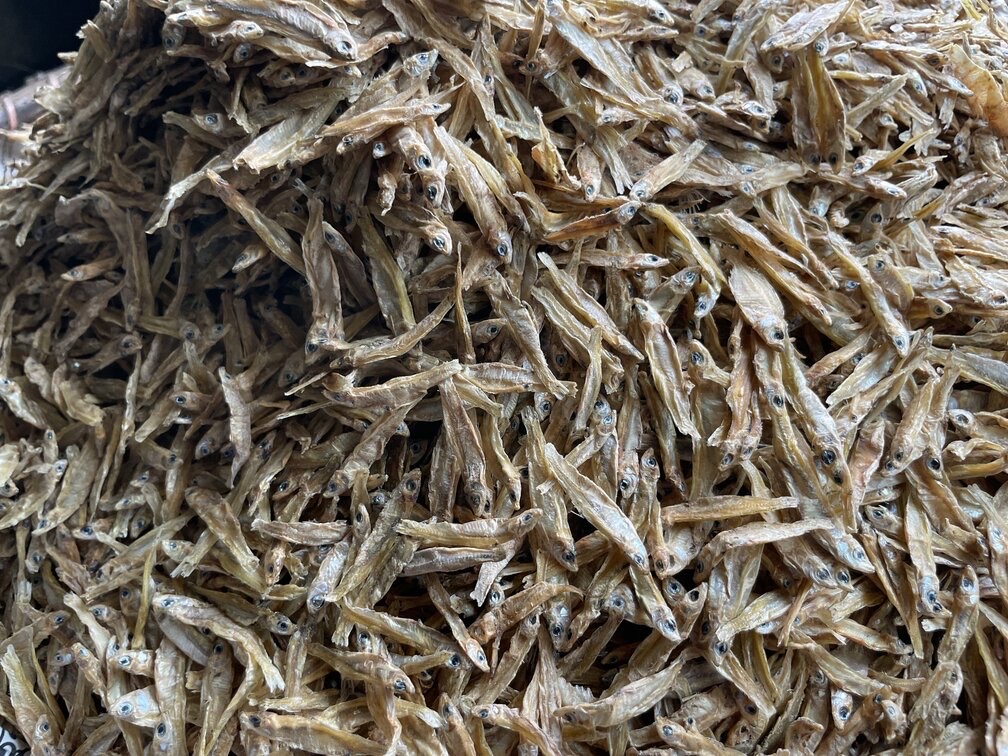 সামুদ্রিক কাঁচকি শুঁটকি (Kachki)_img_1