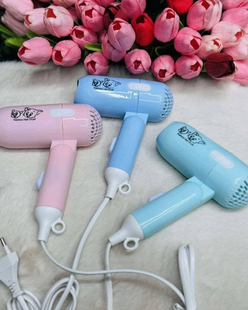 Fashion Hair Dryer