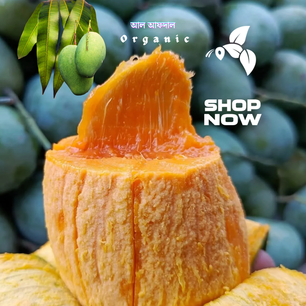 রাজশাহীর অর্গানিক আম্রুপালি (Am Rupali Mango)_img_1
