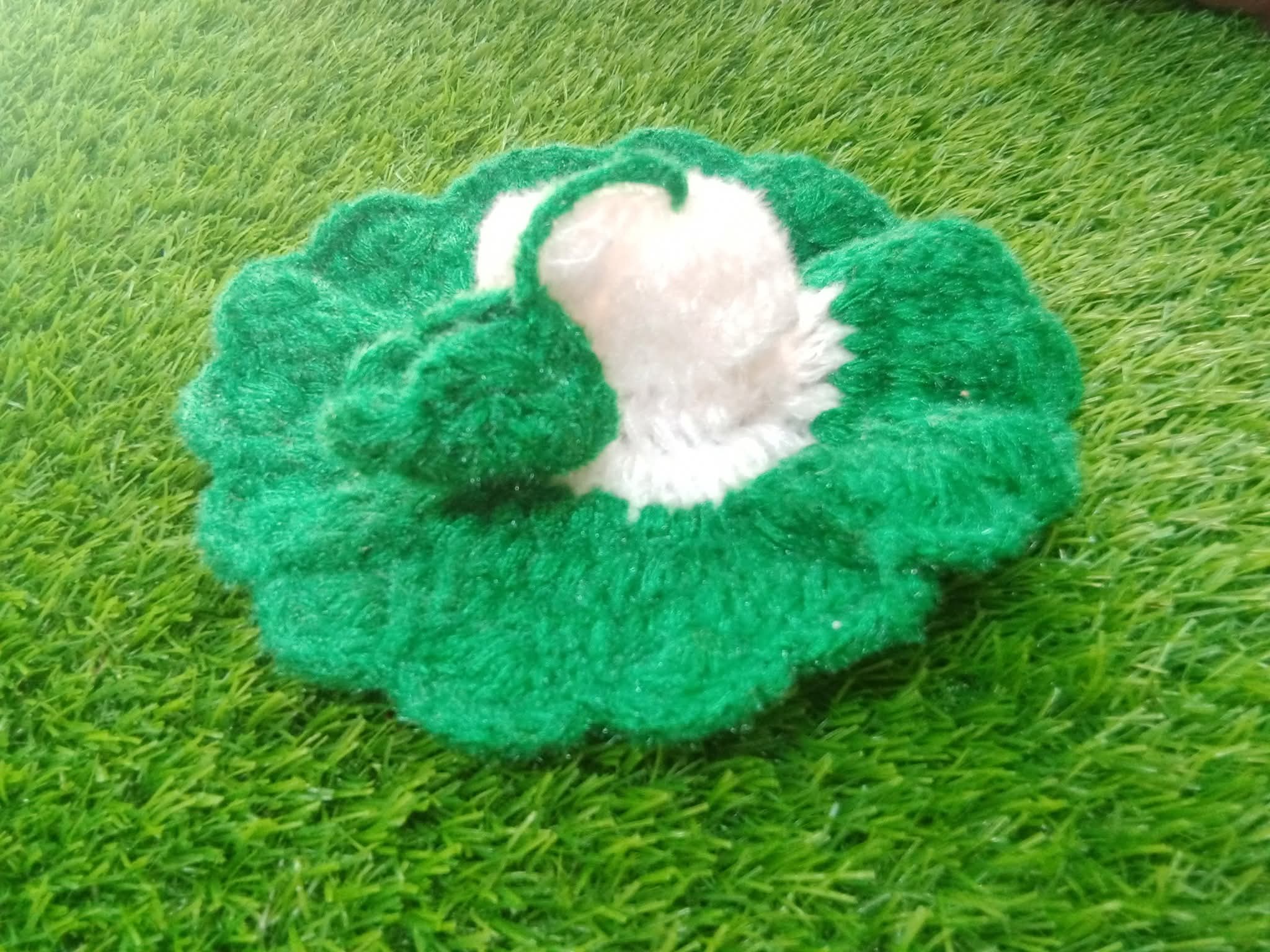 গোপালের উলের ড্রেস - Image 9