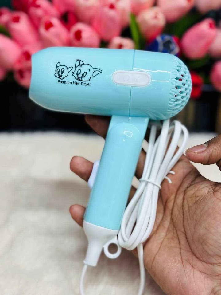 “Fashion hair dryer”_img_1