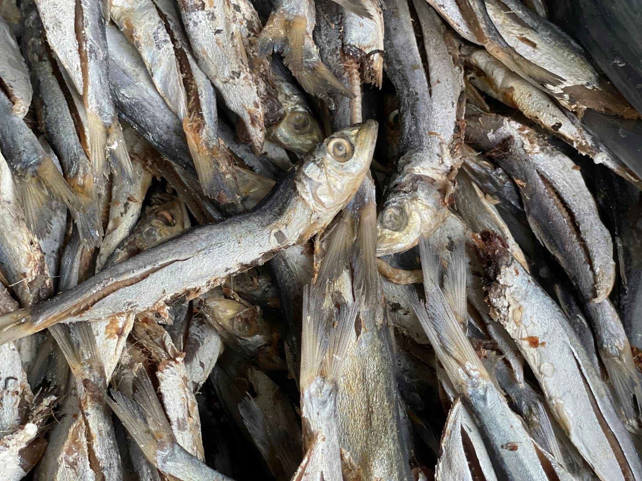 নাইল্লা শুঁটকি (Nailla)