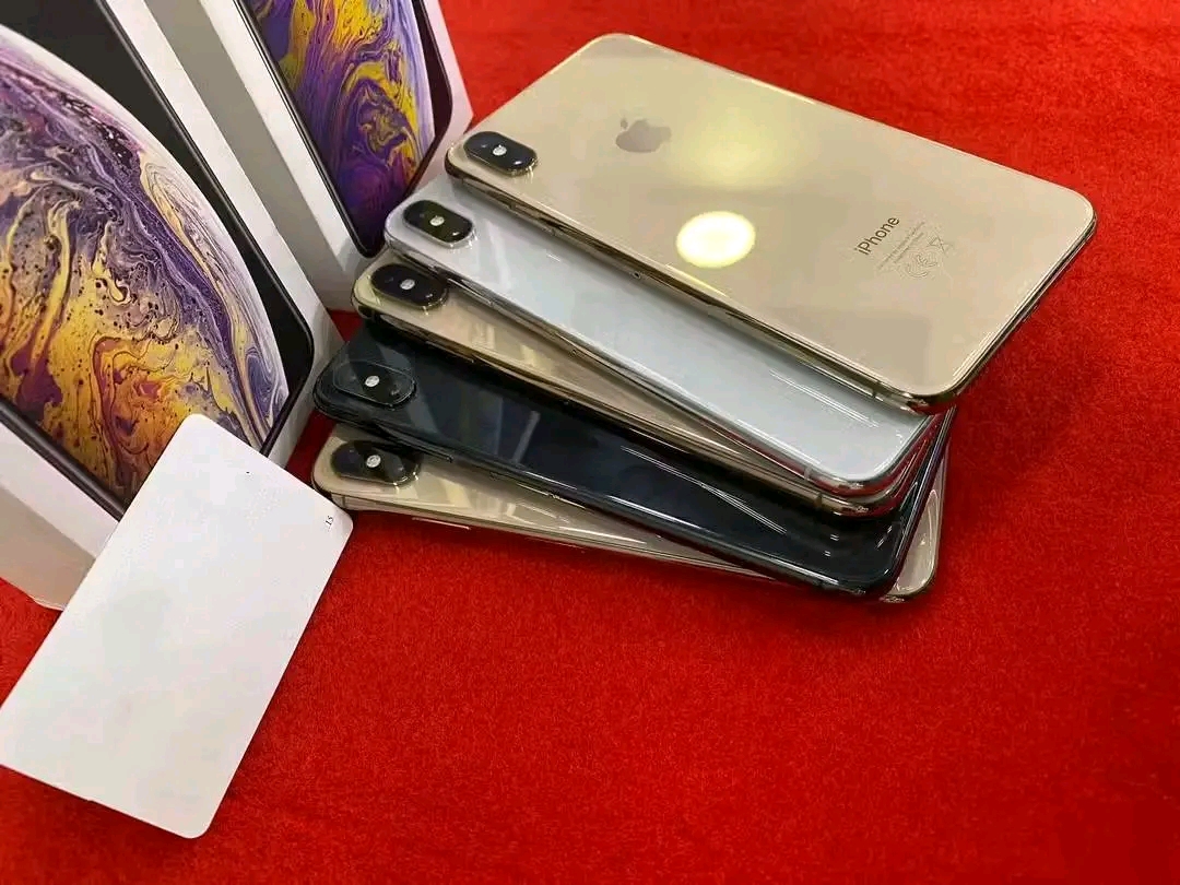 iPhone X's max_img_2