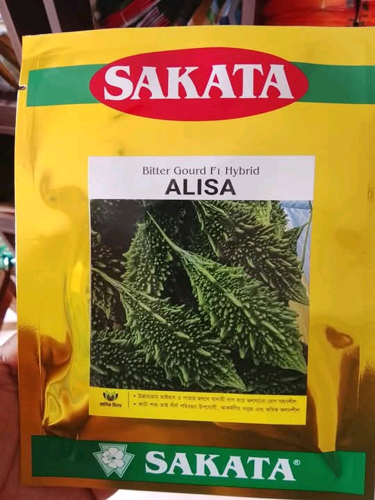 ছোট জাতের হাইব্রিড করলা আলিশা । F1 Hybrid bitter gourd seeds Alisha_img_0