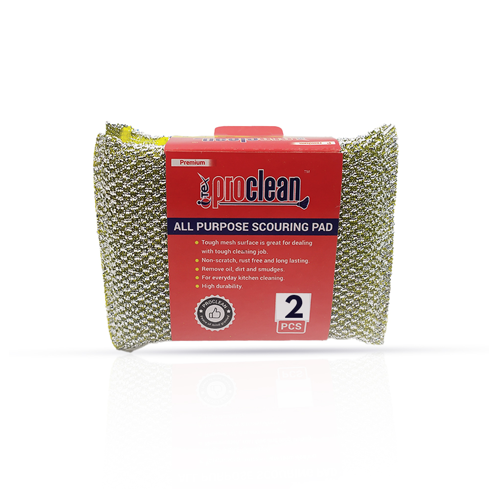 All Purpose Scouring Pad AS-0407 ( 2pcs )