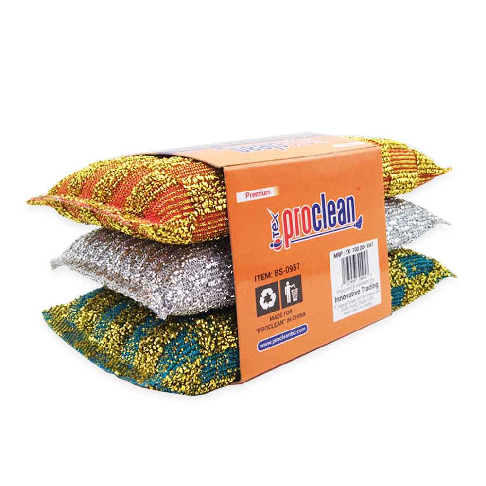 Big Scouring Pad_BS-0957 ( 3pcs )_img_1