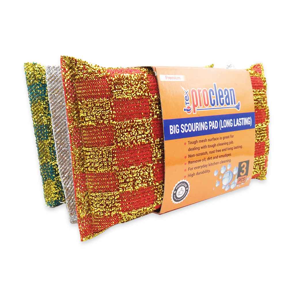 Big Scouring Pad_BS-0957 ( 3pcs )_img_2