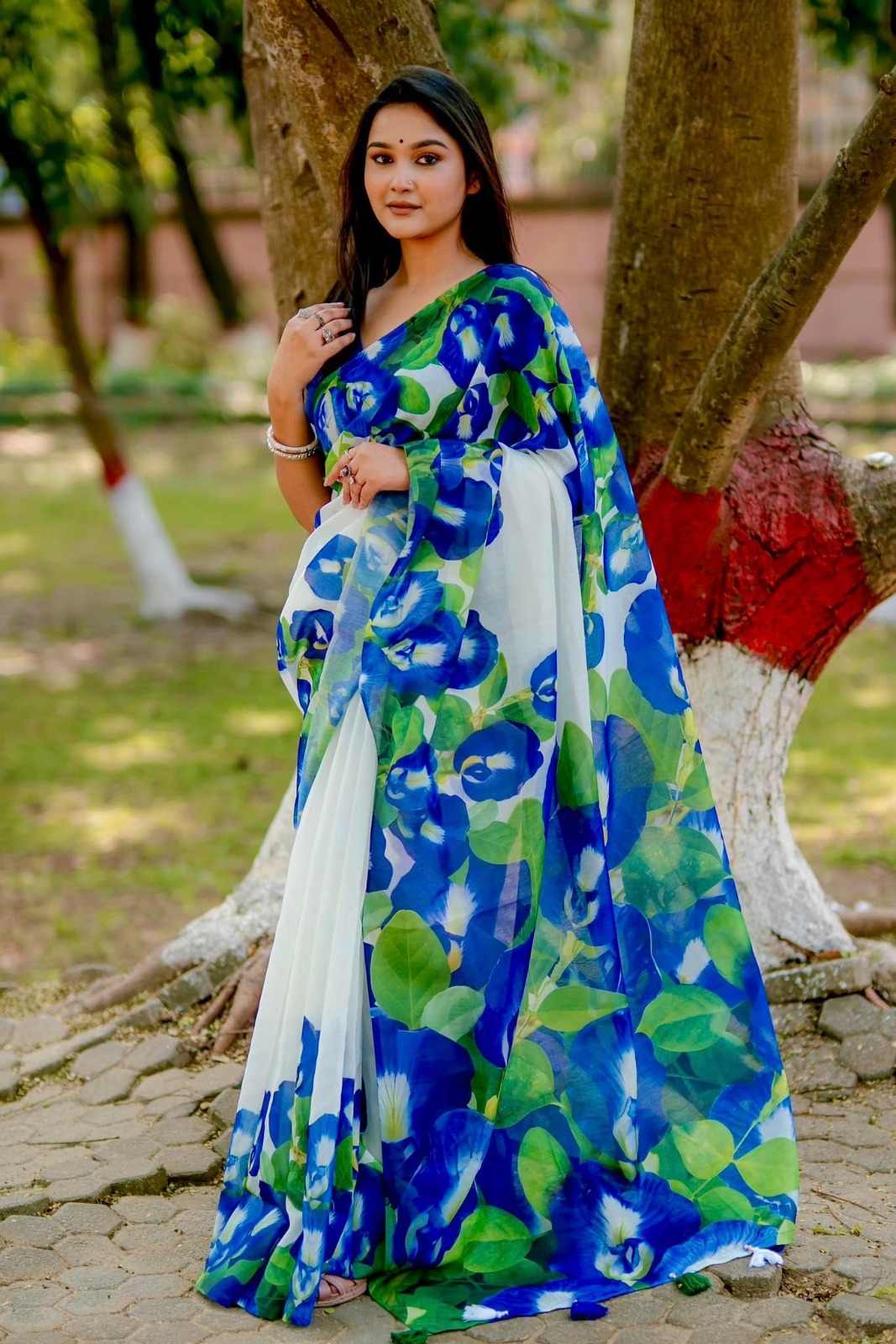 Chanduri silk saree_img_0