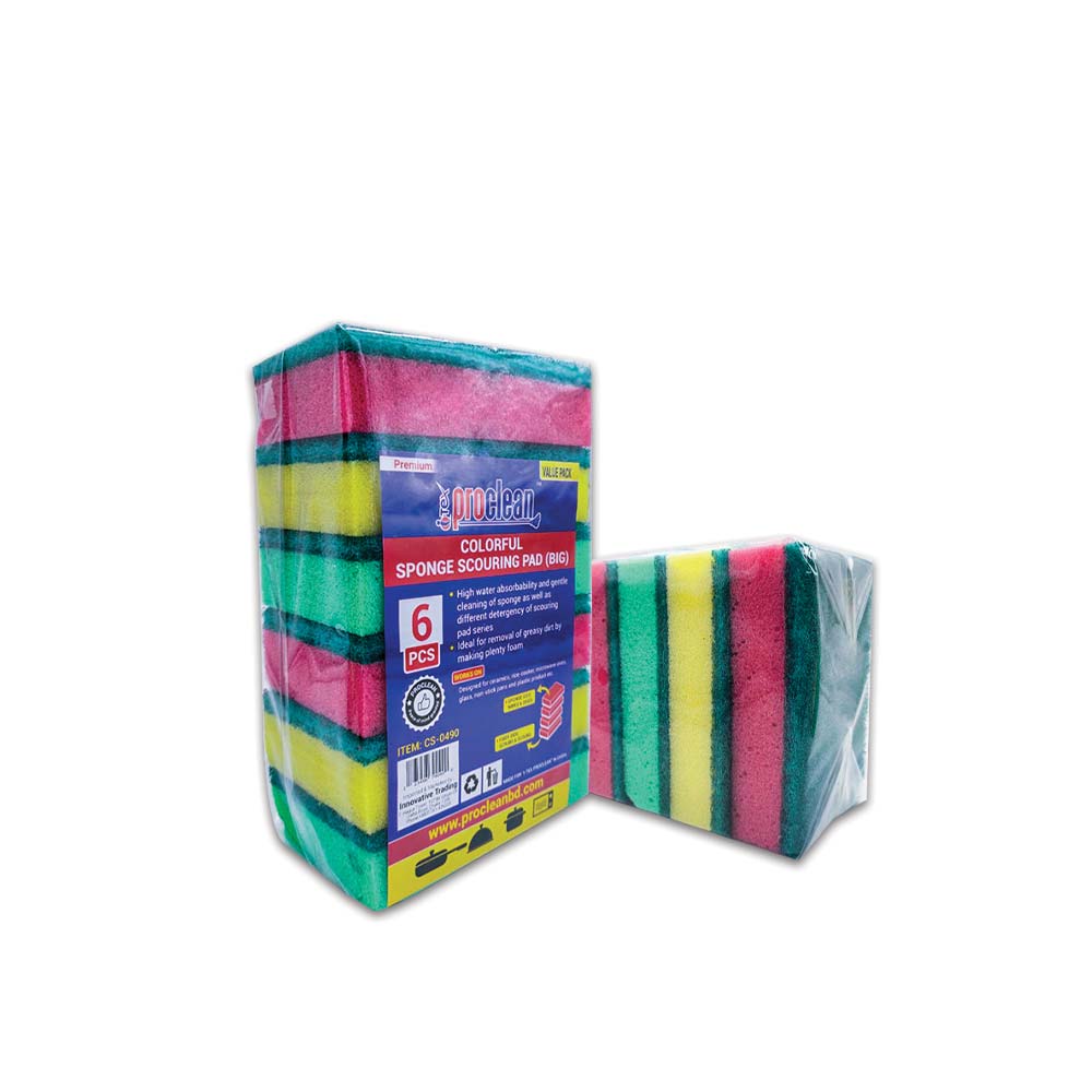 Colorful Sponge Scouring Pad_CS-0490 ( 6pcs )_img_0