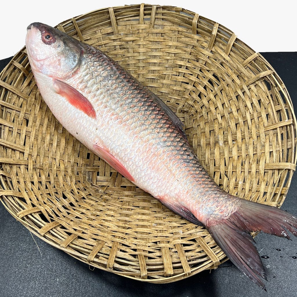 রুই মাছ দের কেজি ওজনের