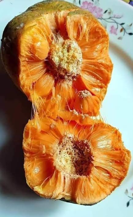 ডেউয়া_img_2