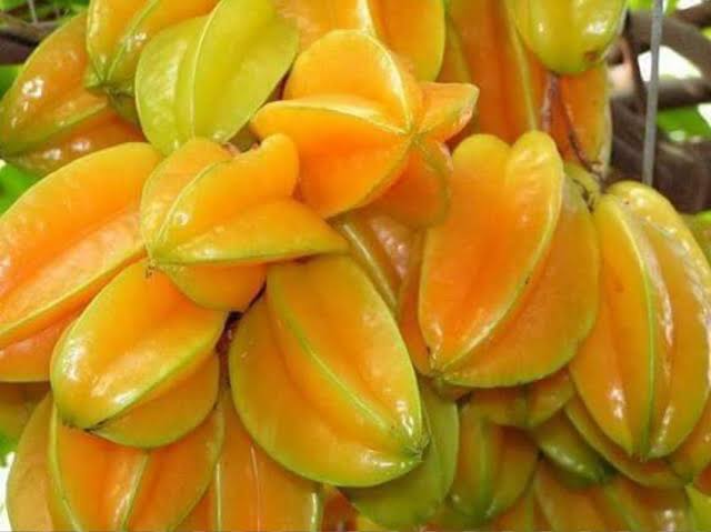 মিষ্টি কামরাঙা