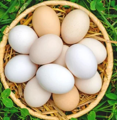 দেশি মুরগির ডিম / ৪ টি - Image 1