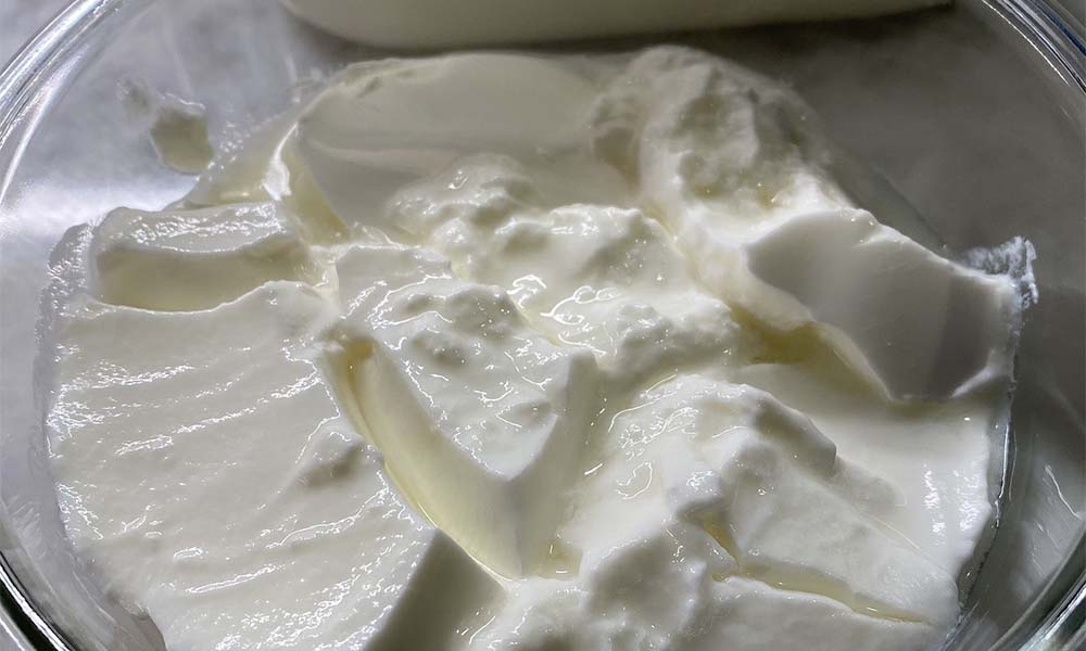 Buffalo milk Yoghurt / Curd_img_2