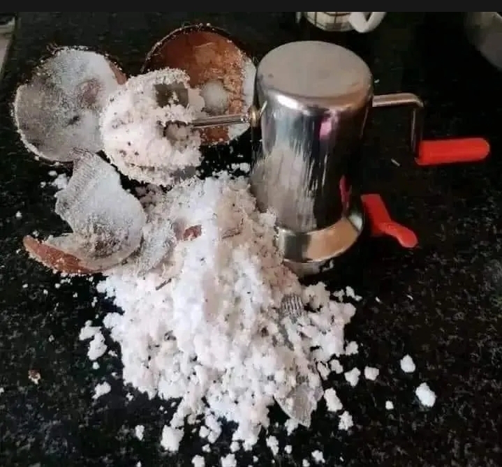 Coconut Scraper_img_3