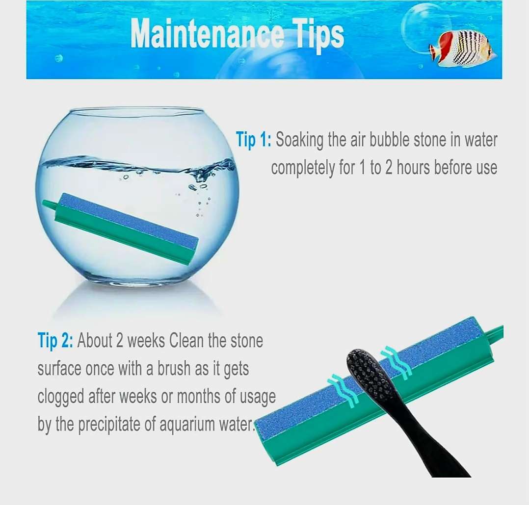 ৬ ইঞ্চি স্টিক একুরিয়াম অক্সিজেন_img_1