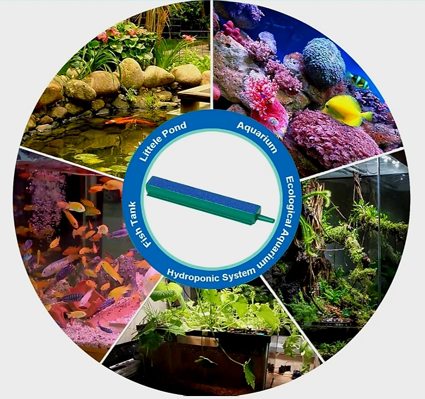 ৬ ইঞ্চি স্টিক একুরিয়াম অক্সিজেন_img_2