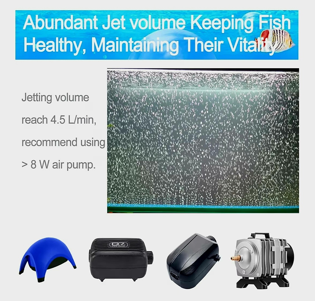 ৬ ইঞ্চি স্টিক একুরিয়াম অক্সিজেন_img_3