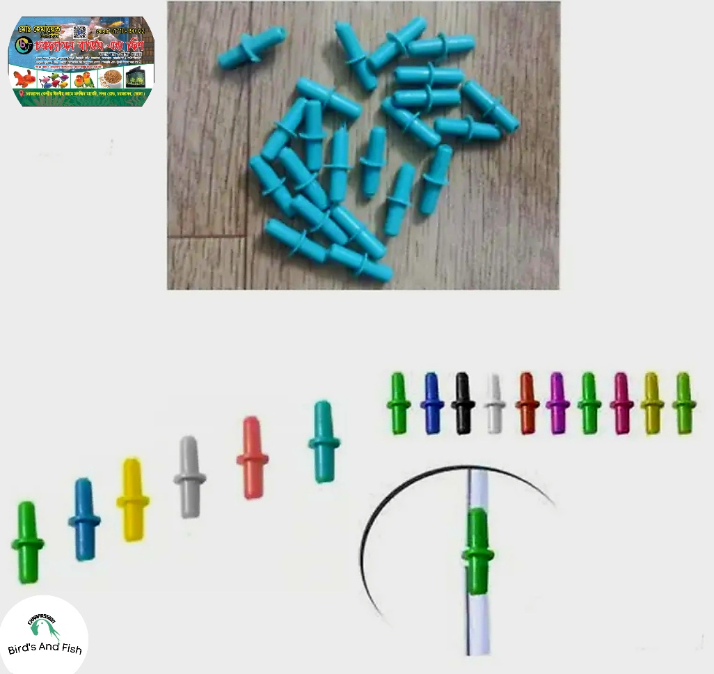 একুরিয়াম জয়েন আয়