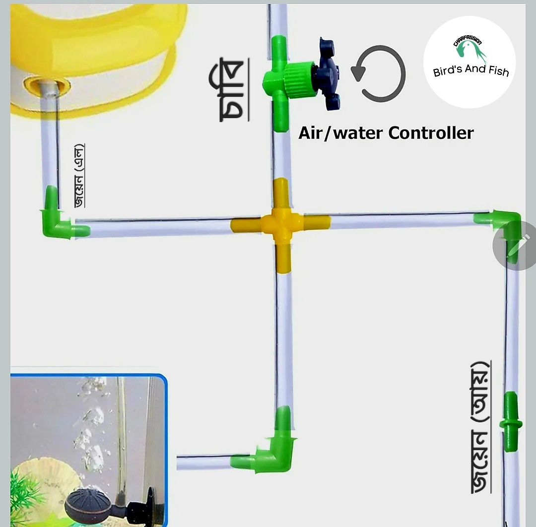 একুরিয়াম জয়েন আয়_img_1