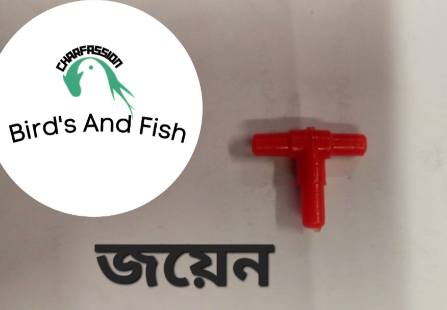 একুরিয়াম জয়েন র্টি