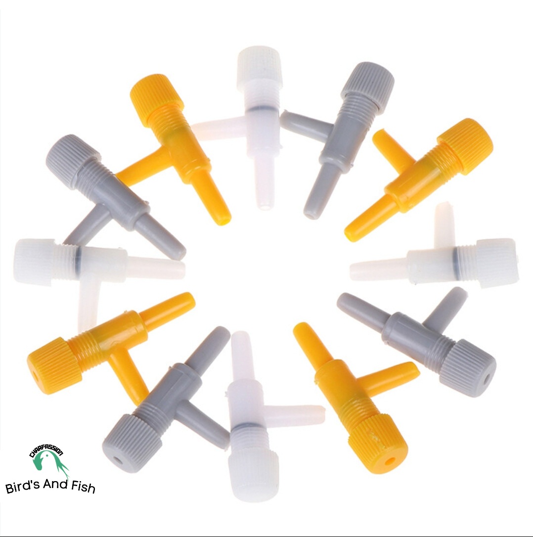 একুরিয়াম চাবি_img_5