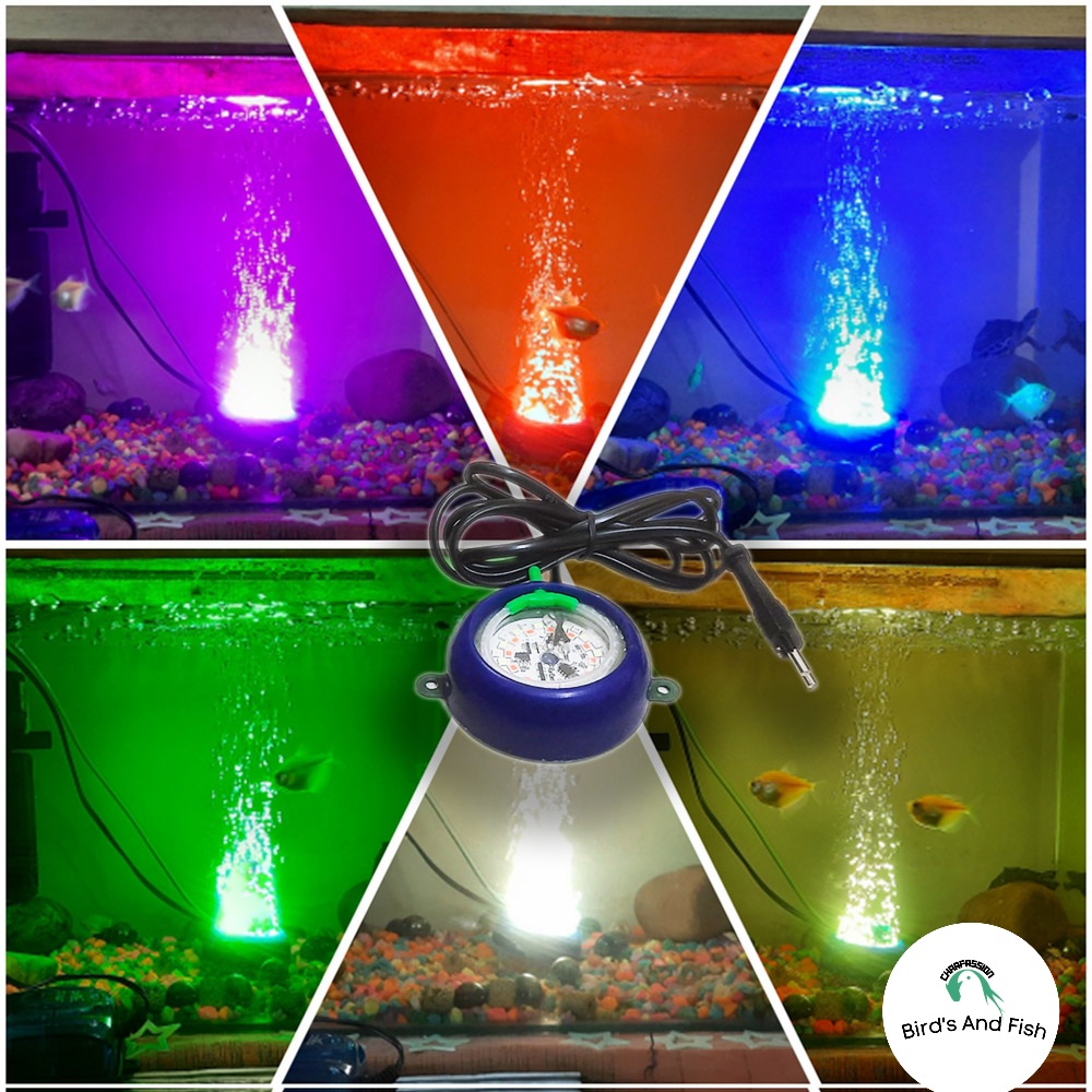 সোনিয়া বটম লাইট 7কালার_img_1