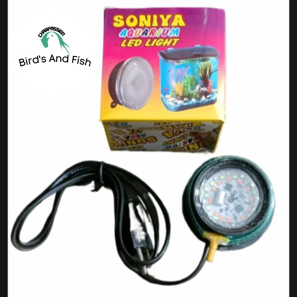 সোনিয়া বটম লাইট 7কালার_img_2