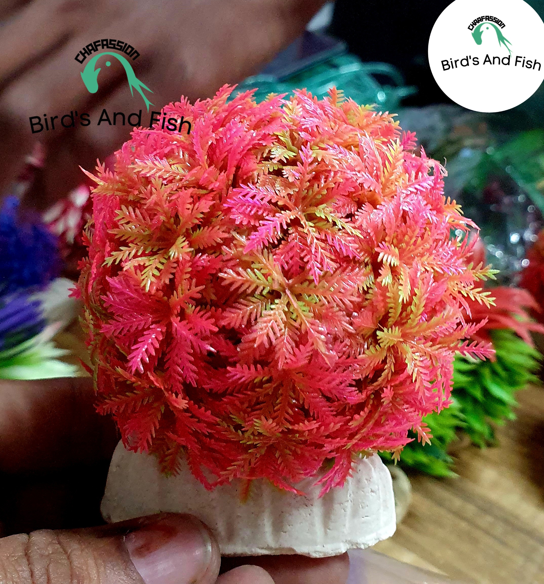 বল গাছ 🌿 আর্টিফিশিয়াল অ্যাকুরিয়াম গাছ_img_1