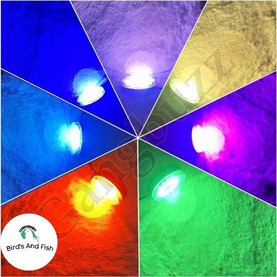 কালার এল ই ডি লাইট 7 কালার_img_1