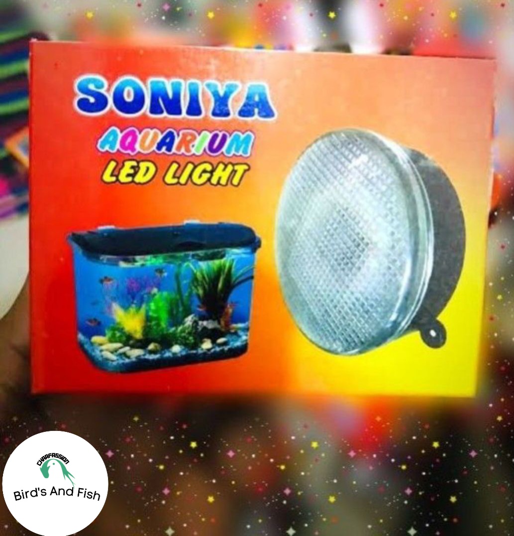 কালার এল ই ডি লাইট 7 কালার_img_3